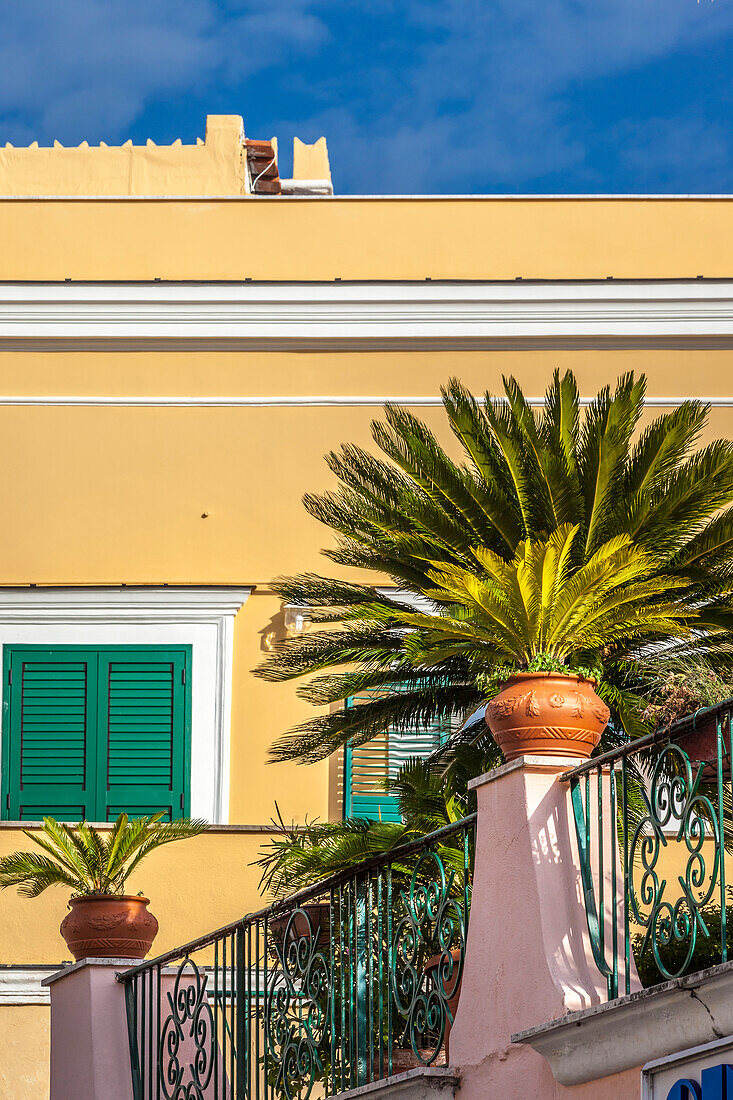 Balcony in the old town of Forio, Ischia Island, Gulf of Naples, Campania, Italy