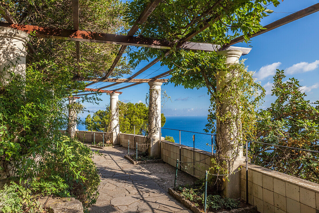Im Garten der Villa San Michele, Anacapri, Capri, Golf von Neapel, Kampanien, Italien