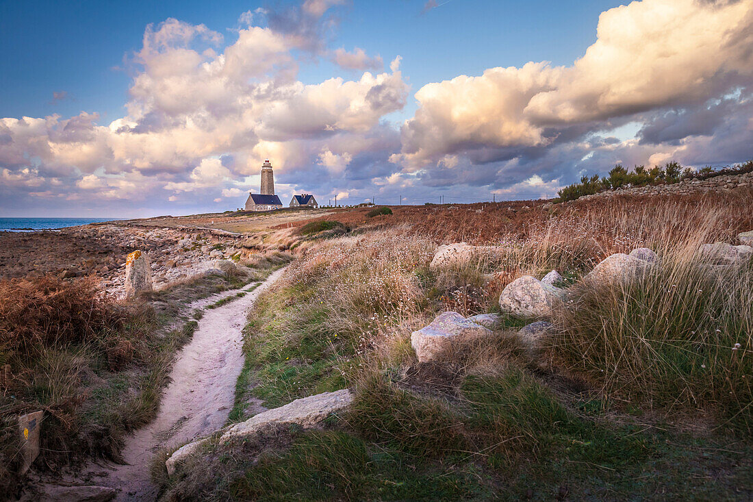 Küstenweg am Phare du Cap Lévi bei Fermanville, Cotentin-Halbinsel, Manche, Normandie, Frankreich