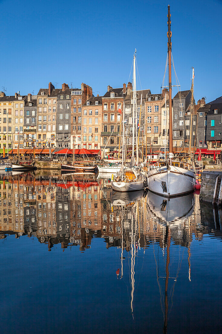 Honfleur harbor in the morning light, Calvados, Normandy, France