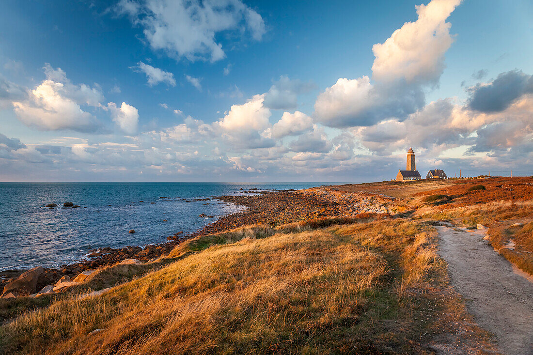 Küstenweg am Phare du Cap Lévi bei Fermanville, Cotentin-Halbinsel, Manche, Normandie, Frankreich