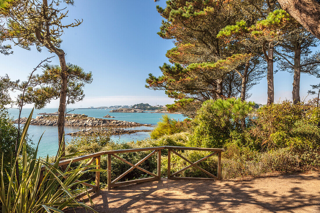 Jardin Exotique auf der Ile de Batz, Finistère, Bretagne, Frankreich