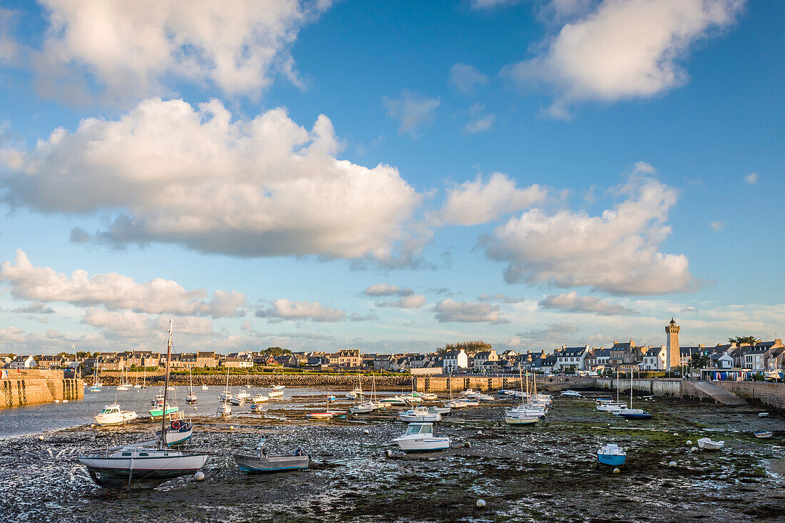 Am Hafen von Roscoff bei Ebbe, Finistère, Bretagne, Frankreich