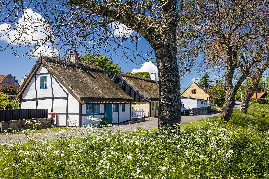 Küstenstraße in Listed auf Bornholm, Dänemark