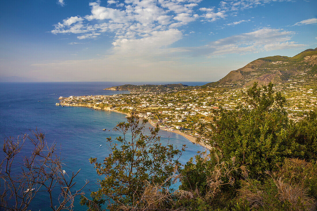 View of the port town of Forio, Ischia Island, Gulf of Naples, Campania, Italy