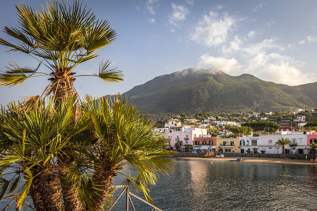 Küstenort Lacco Ameno, Insel Ischia, Golf von Neapel, Kampanien, Italien