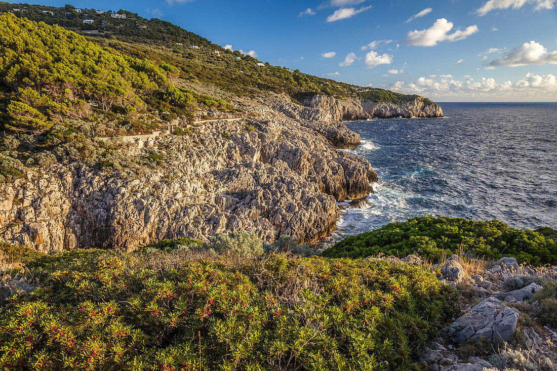 Coast at Fortino di Mesola, Capri, Gulf of Naples, Campania, Italy