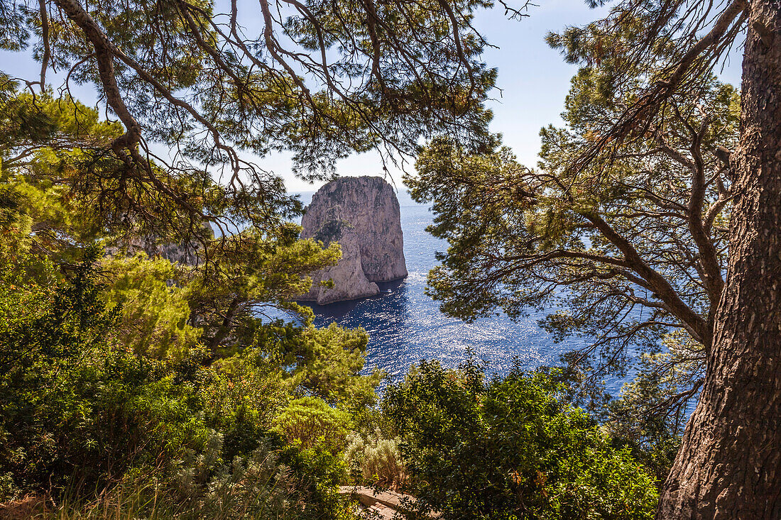 Blick zum Faraglione-Felsen bei Capri, Capri, Golf von Neapel, Kampanien, Italien
