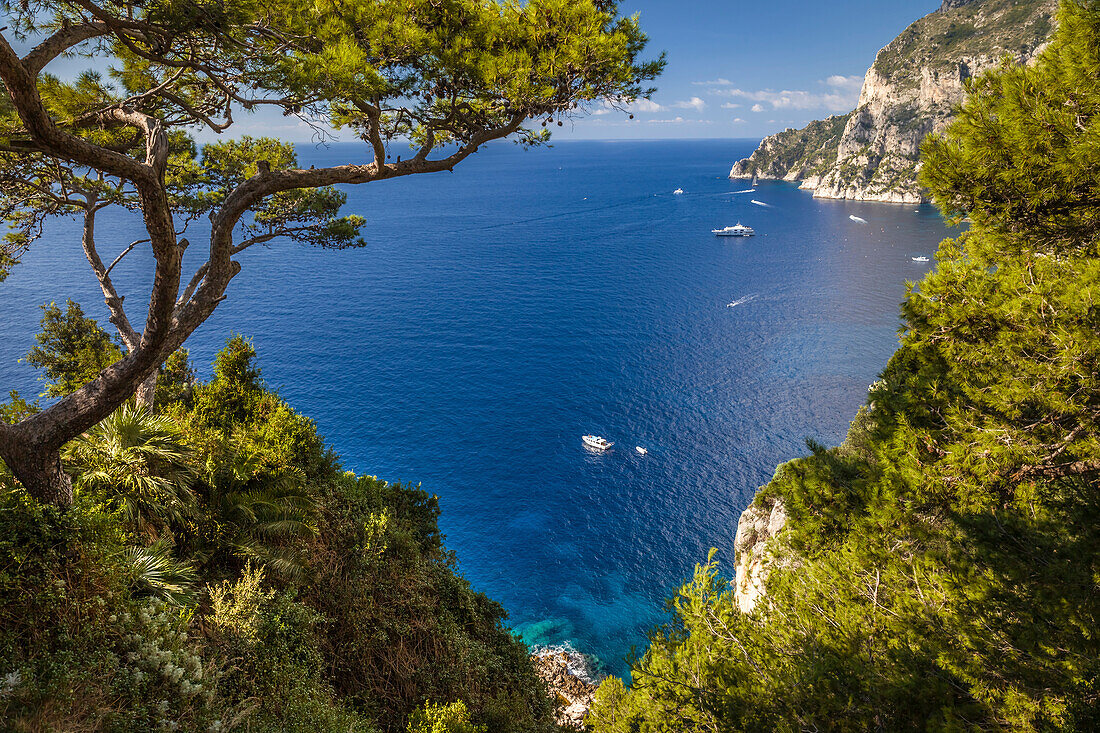 Blick zum Punta de Masullo auf Capri, Capri, Golf von Neapel, Kampanien, Italien