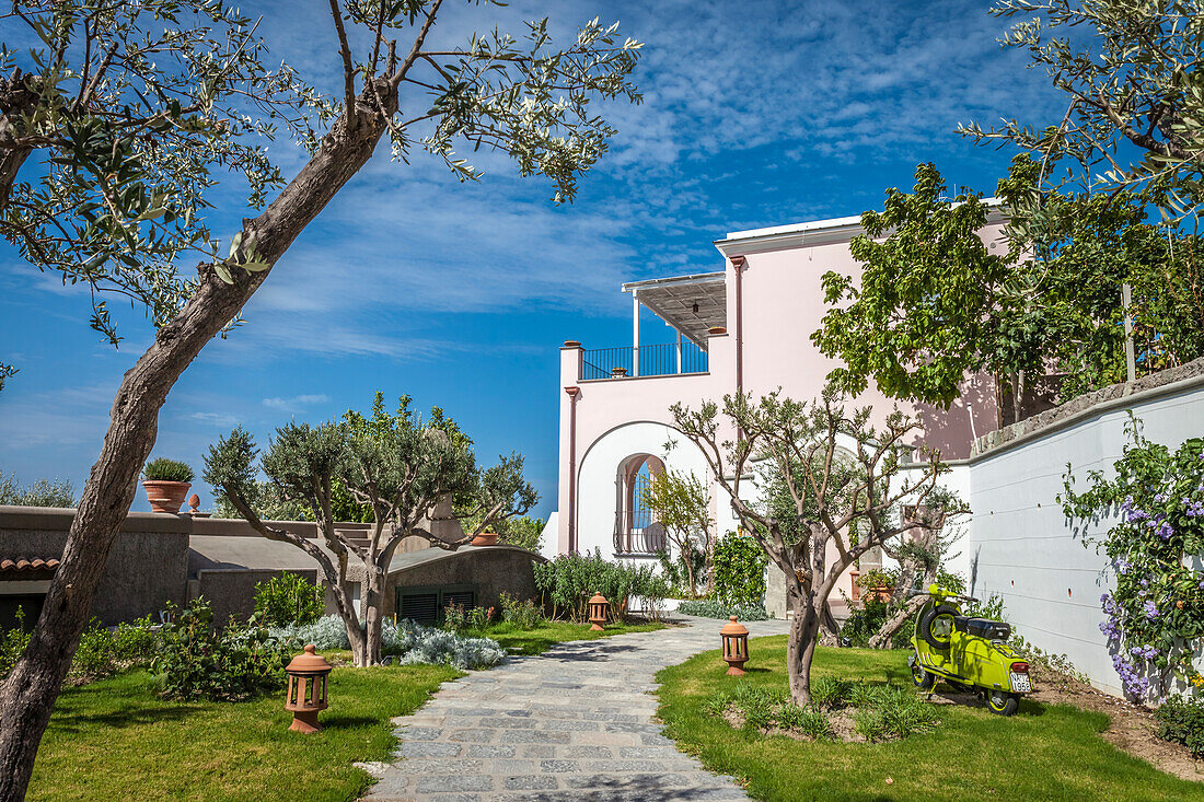 Garden of the Hotel Tenuta Del Poggio Antico in Forio, Ischia Island, Gulf of Naples, Campania, Italy