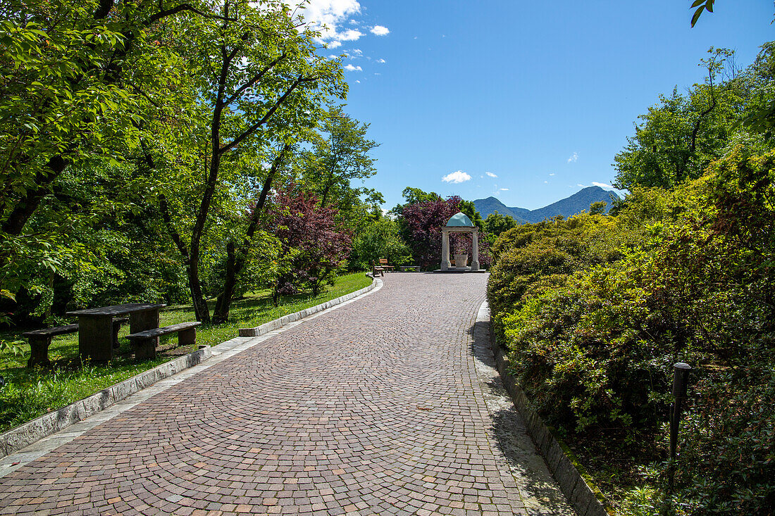 Garden of Villa Taranto on Lake Maggiore, Pallanza, Piedmont, Italy