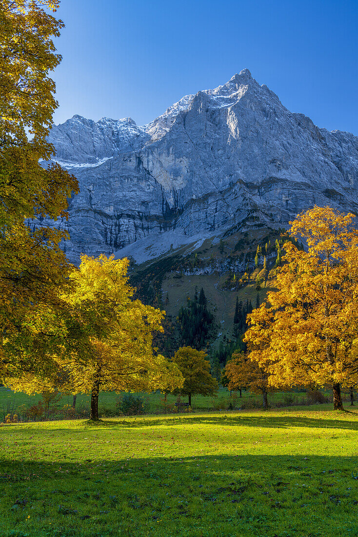 Golden autumn in the Eng, Hinterriss, Karwendel, Tyrol, Austria