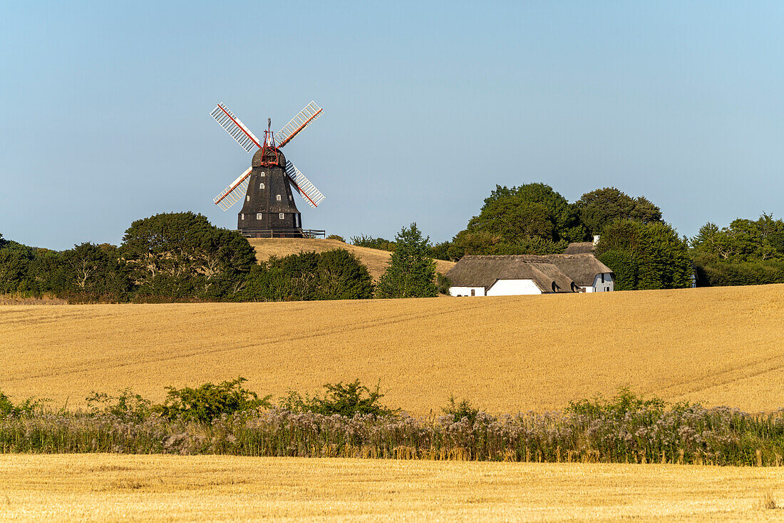 Windmill on the island of Langeland, Denmark, Europe