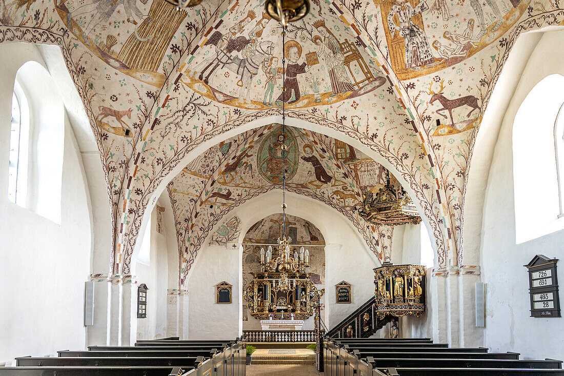 Interior with religious frescoes by the Elmelunde Master in Elmelunde Church, Mon island, Denmark, Europe