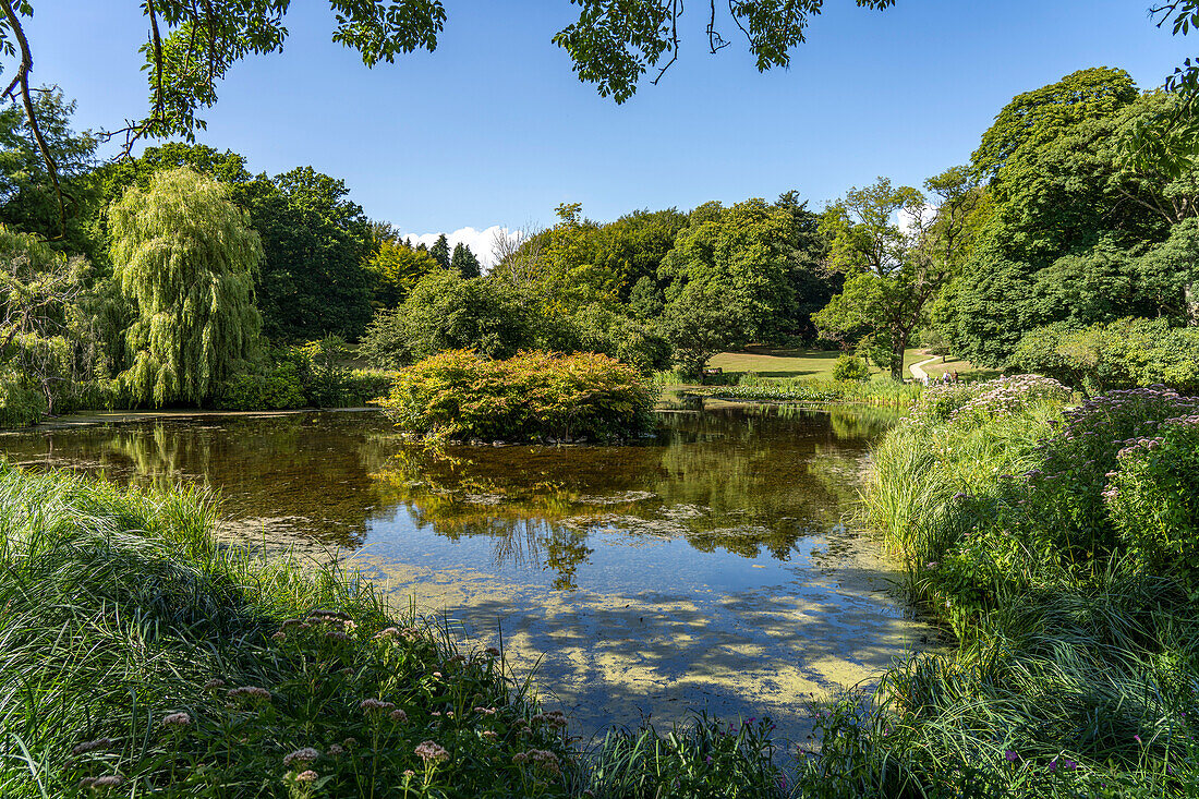 Liselund Slotspark, landscape garden of the country house Liselund Castle, Mon island, Denmark, Europe