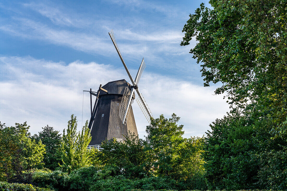 Windmill in Rudkoebing, Langeland Island, Denmark, Europe