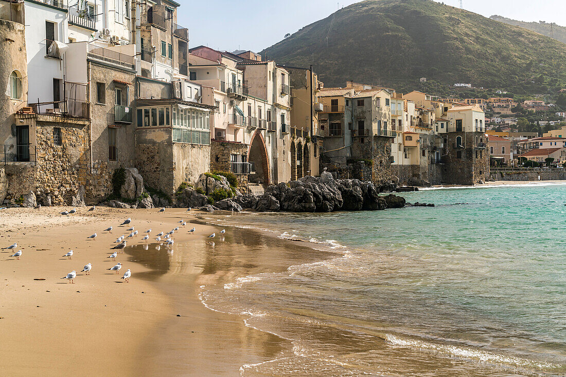 Strand und Altstadt von Cefalu, Sizilien, Italien, Europa