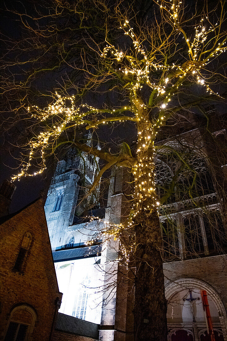 St. Salvator-Kathedrale in Brügge, Belgien