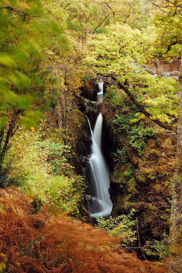 Aira Force waterfall, Lake District National Park, UNESCO World Heritage Site, Cumbria, England, United Kingdom, Europe
