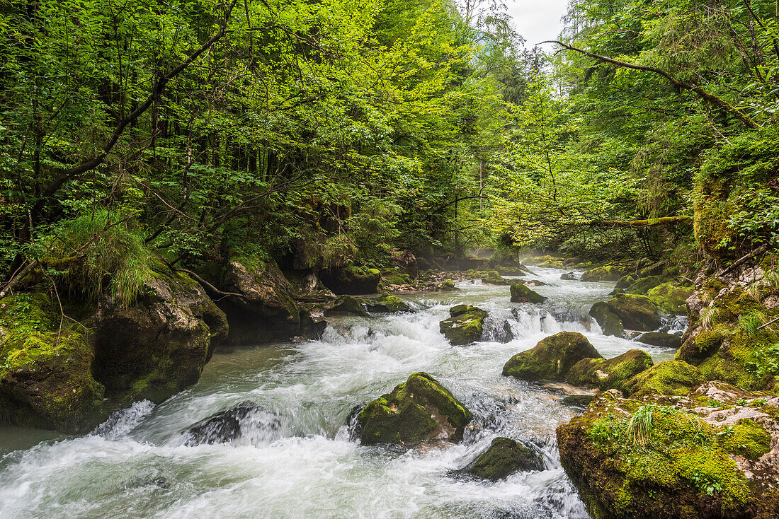 Der Waldbach im Echerntal bei Hallstatt, Salzkammergut, Oberösterreich, Österreich