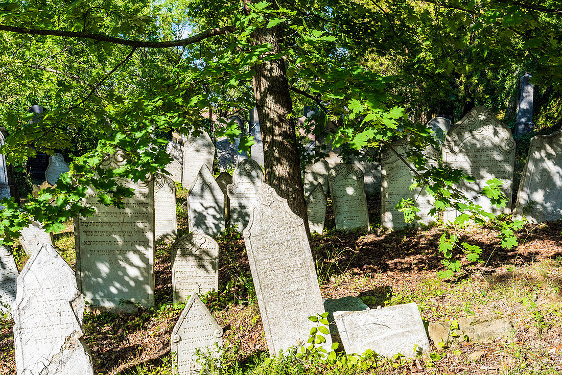 Jewish Cemetery in Mikulov, South Moravia, Czech Republic