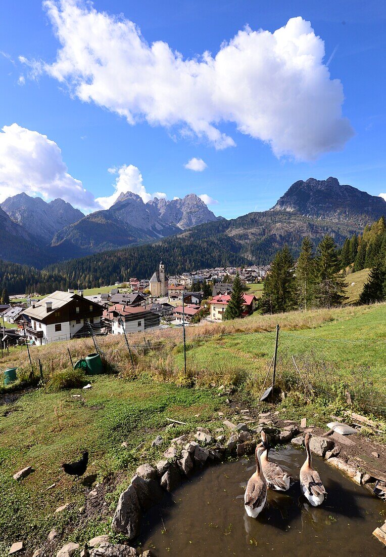 Sappada in den Karnischen Alpen des Friaul, Nord-Italien