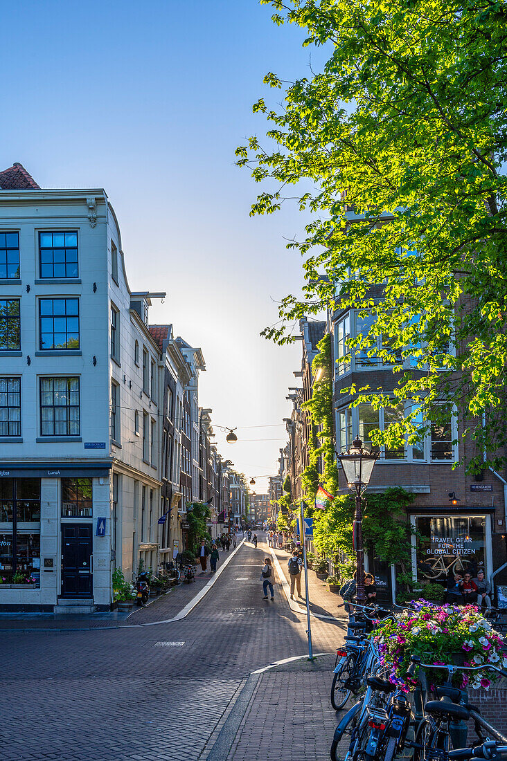 Blue whale in the evening, Amsterdam, Benelux, Benelux States, North Holland, Noord-Holland, Netherlands