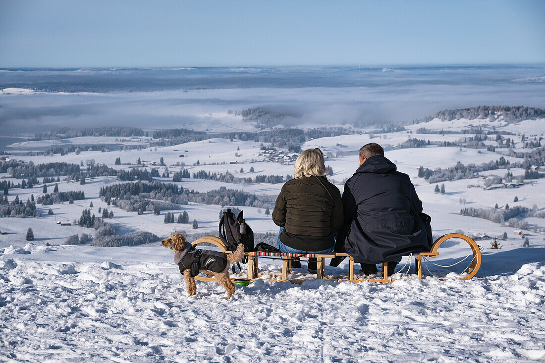 Weitblick über den Königswinkel, im Vordergrund zwei Personen auf Schlitten mit Hund, Buchenberg Alm, Allgäuer Alpen, Allgäu, Bayern, Deutschland, Europa