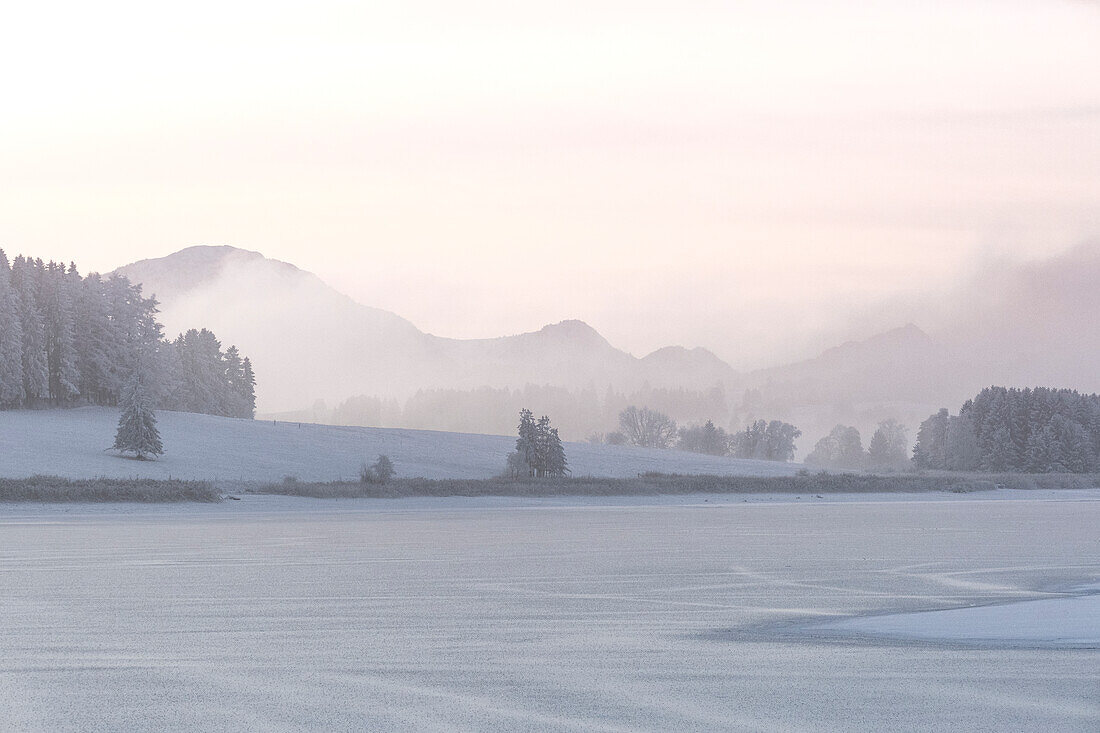 Blick auf den gefrorenen Illasbergsee, am Forggensee im Winter, im Hintergrund die Tannheimer Berge, Allgäu, Bayern, Deutschland, Europa