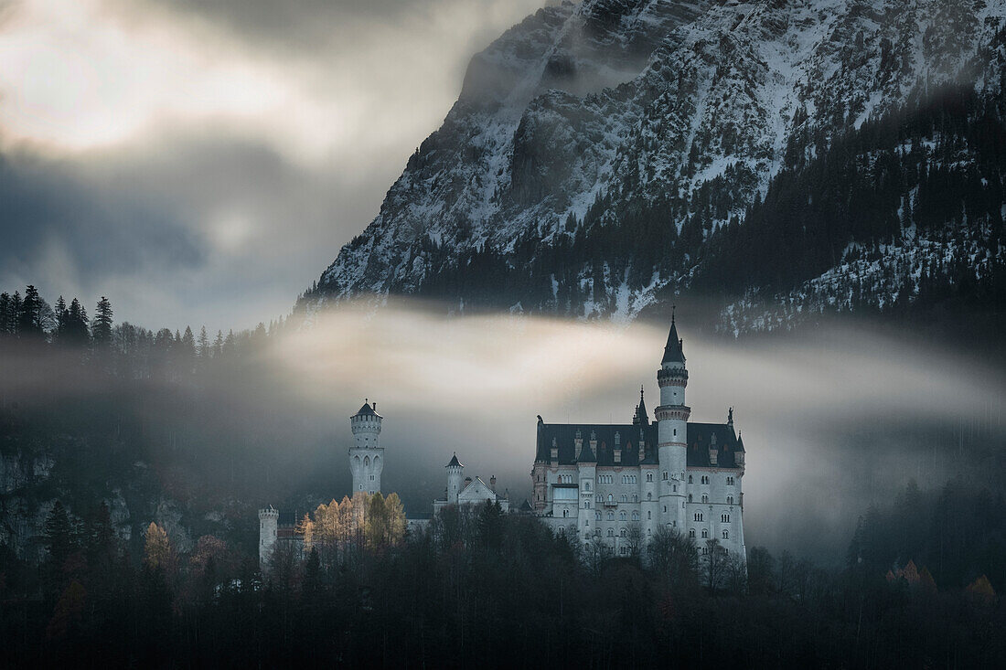 Blick auf Schloss Neuschwanstein im Winter, Allgäuer Alpen, Allgäu, Bayern, Deutschland, Europa