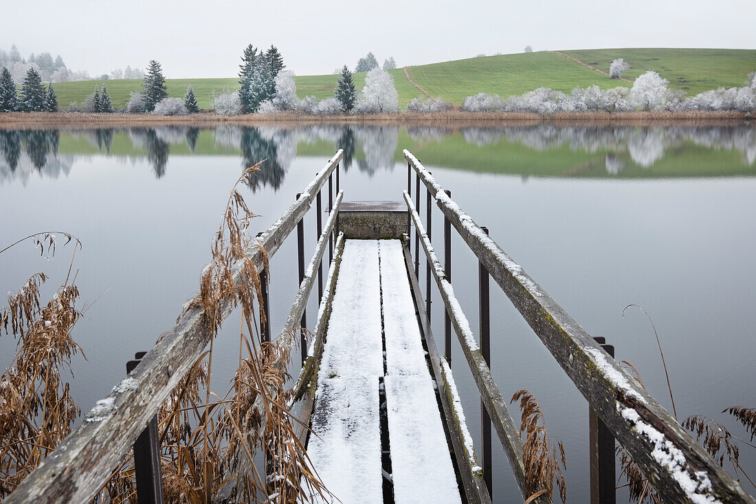 View of a jetty at a pond in winter, Buching, Allgäu, Bavaria, Germany, Europe