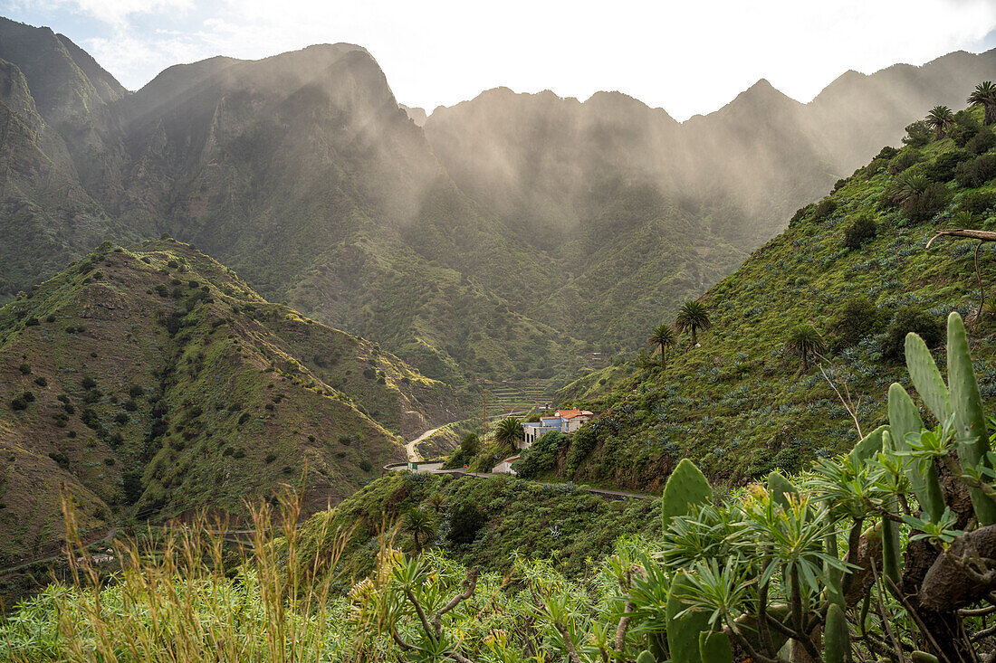 Landschaft im Tal von Hermigua, La Gomera, Kanarische Inseln, Spanien 