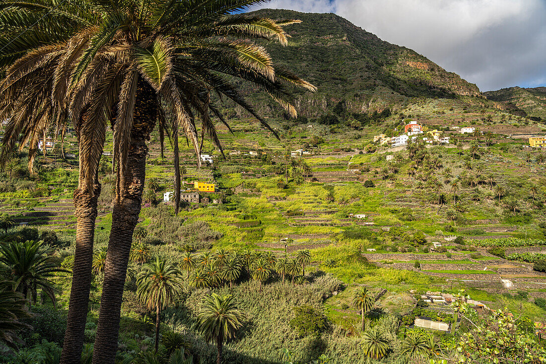 Landscape in the Hermigua Valley, La Gomera, Canary Islands, Spain
