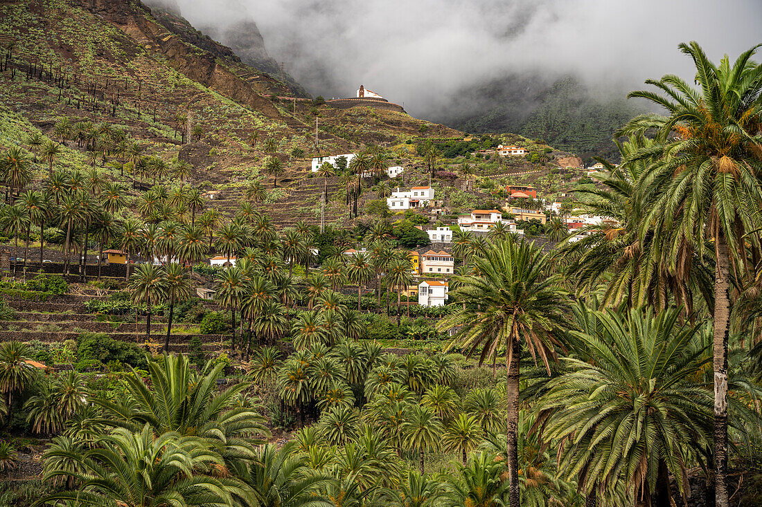 Kulturlandschaft mit Palmen im Valle Gran Rey, La Gomera, Kanarische Inseln, Spanien 