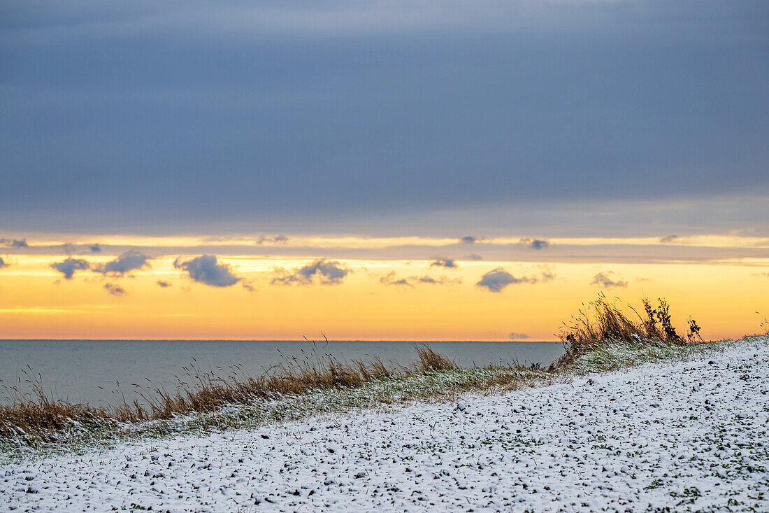 Sunrise with grass at the Baltic Sea in Kraksdorf, Ostholstein, Schleswig-Holstein, Germany