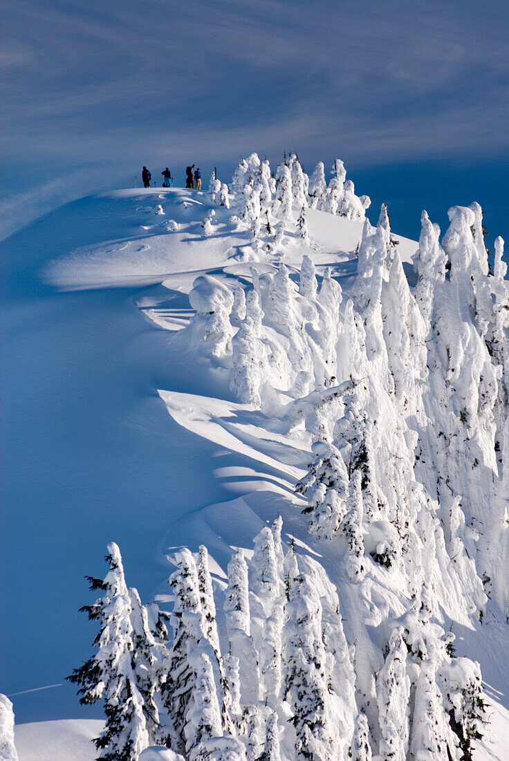 Winter snow in the Northern Cascades mountains, elevated view of sunlight on ice formations on trees.,