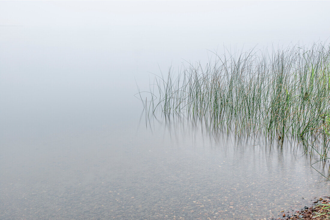 USA, Minnesota, Walker, Leech Lake