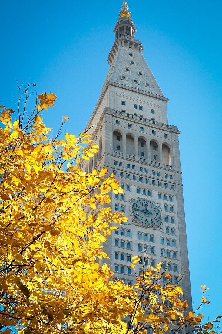 Clock tower near Madison Square park, New York City, NY, USA