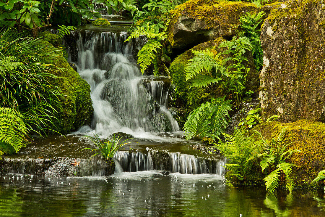 Detail, Heavenly Falls, Lower Pond, Strolling Garden, Portland Japanese Garden, Portland, USA