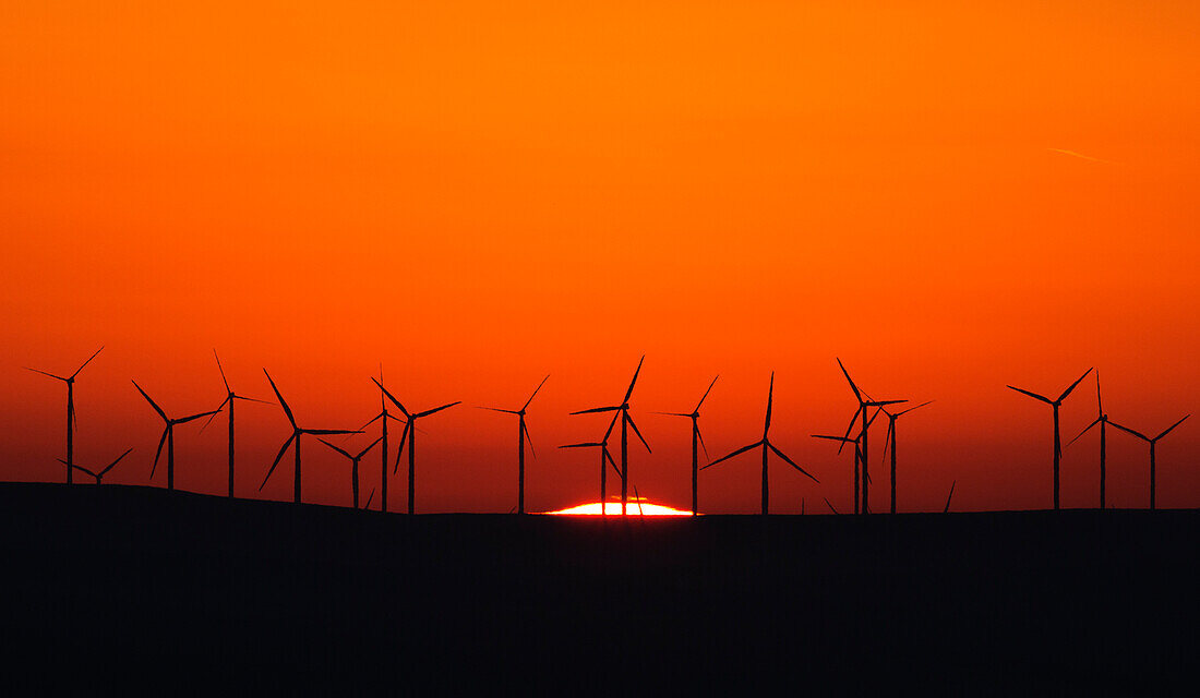 Sonnenaufgang hinter einem Windkraftwerk in Wasco, Oregon.