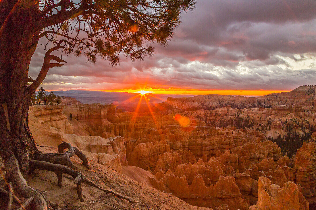 USA, Utah, Bryce-Canyon-Nationalpark. Sonnenaufgang am Canyon