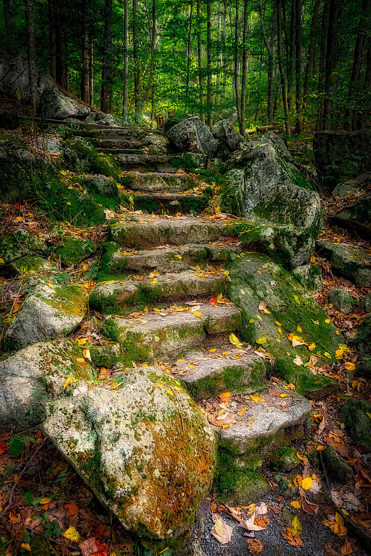 Treppe zu Wigwam Falls, Virginia, Blue Ridge Parkway