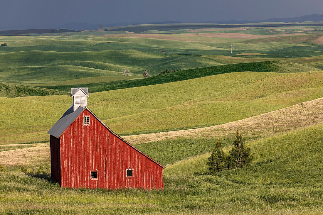 Red barn in valley of rolling farm fields, Palouse agricultural region of western Idaho