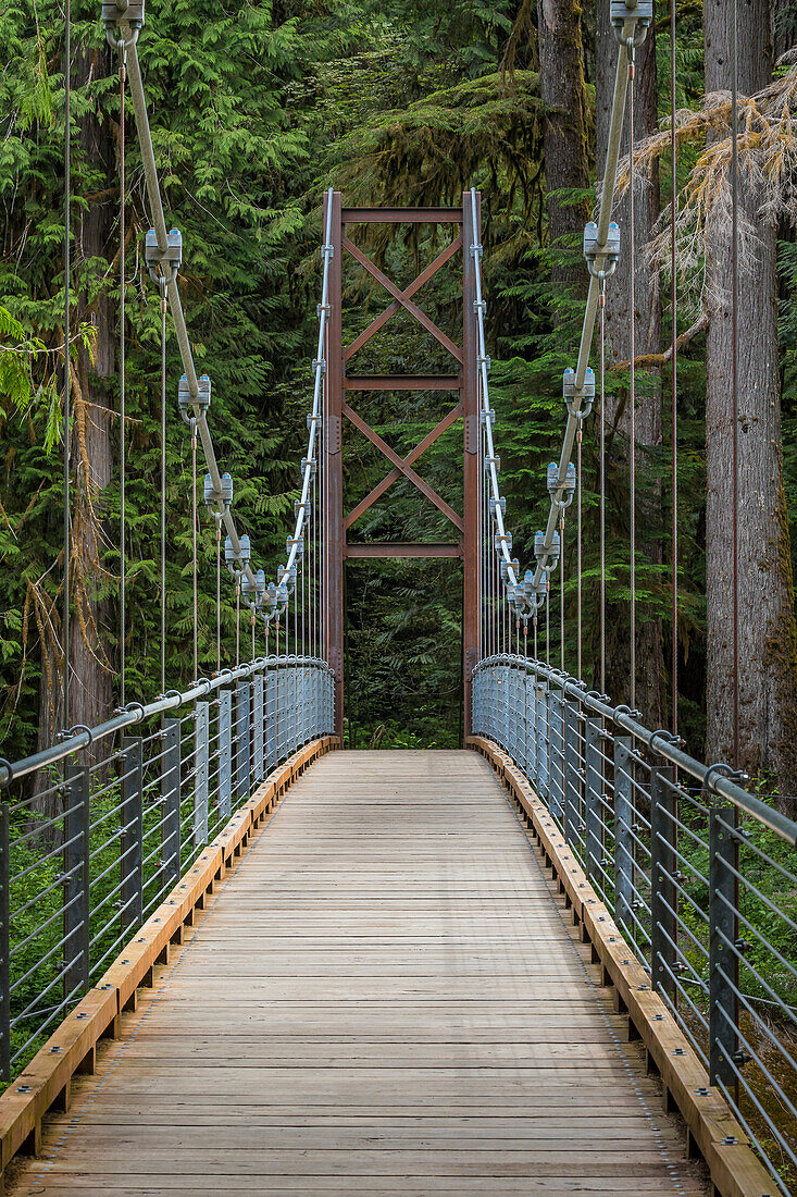 USA, Staat Washington, Olympic-Nationalpark. Brücke über den Fluss Skokomish