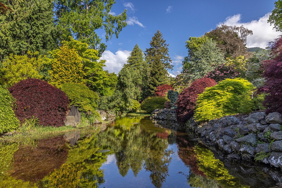 USA, Staat Washington, Brinnon. Whitney Garden and Nursery Landschaft spiegelt sich im Teich wider.
