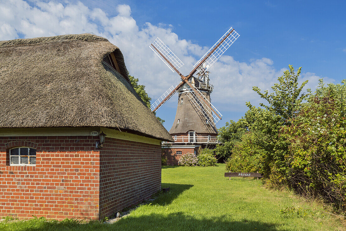 Mühle Oldsum, Insel Föhr, Schleswig-Holstein, Deutschland