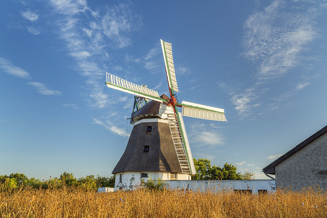 Wrixumer Mühle, Wrixum, Foehr Island, North Frisian Islands, Schleswig-Holstein, Germany