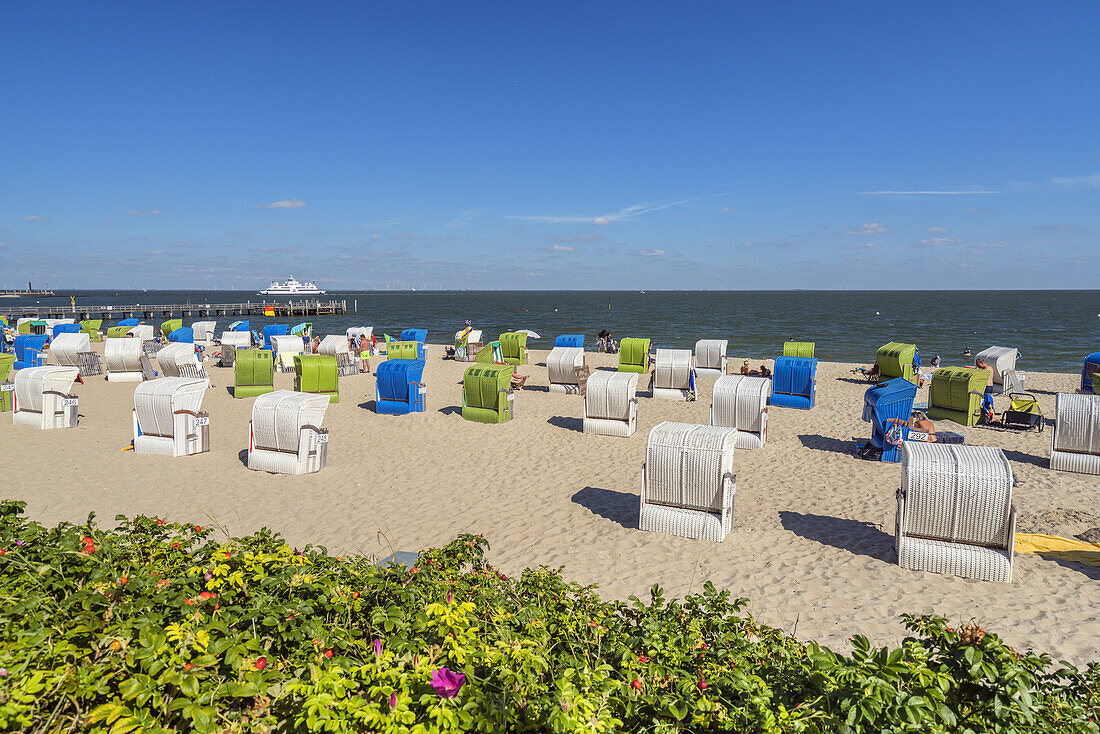 Beach chairs on the beach, Wyk, Foehr Island, Schleswig-Holstein, Germany