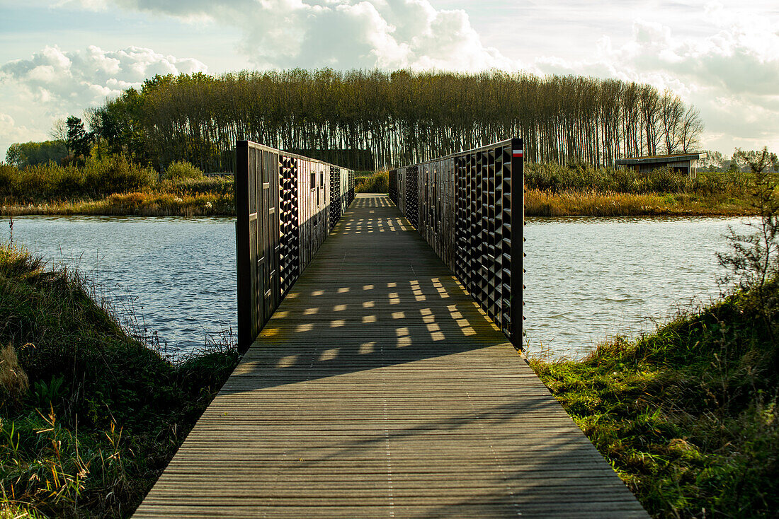 A polder landscape in the province of Zeeland, the Netherlands