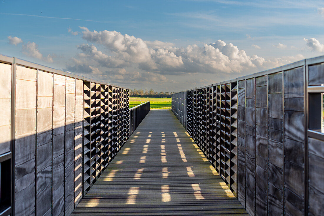 A polder landscape in the province of Zeeland, the Netherlands